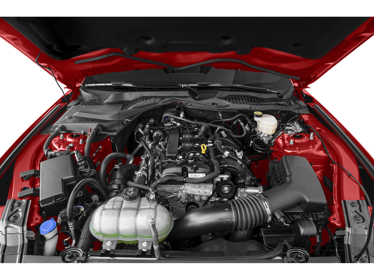 2023 Ford Mustang EcoBoost