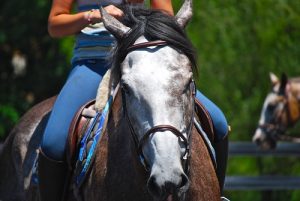 Girl Riding on Horse