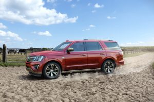 2020 Ford Expedition in Burgandy Velvet in Front of Cows