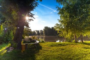 Park Bench Overlooking Lake