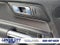 2023 Ford Mustang EcoBoost