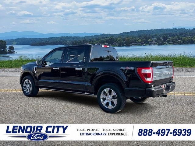 2023 Ford F-150 Platinum