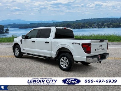 2025 Ford F-150 XL