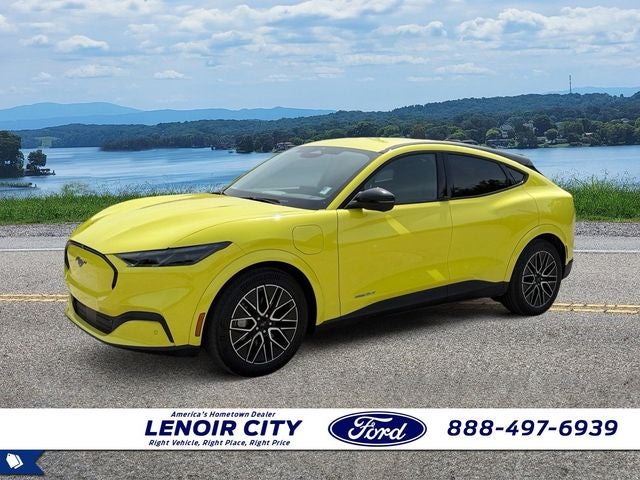 2025 Ford Mustang-Mach-e Premium's photo